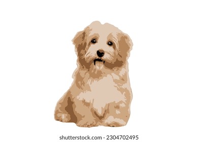 flat shaggy dog portrait It has a beautiful color scheme and the cuteness of your pet. vector