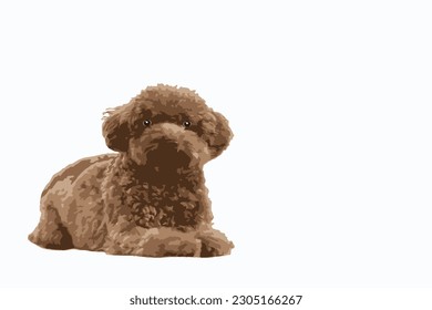 flat shaggy dog portrait It has a beautiful color scheme and the cuteness of your pet. vector