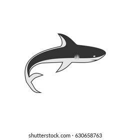 Flat Shark illustration
