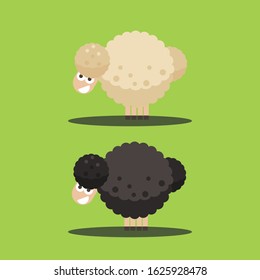 Flat Sheeps vector illustration, isolated on background