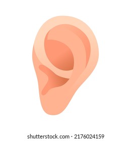 Flat Simple Ear Isolated On White Background