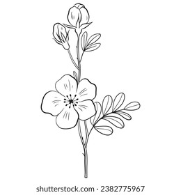 Flat simple flower outline illustration on white background.