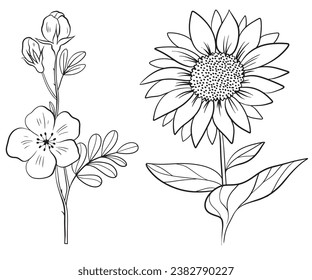 Flat simple flower and sunflower outline illustration on white background.