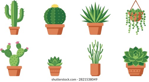 Flat of six different potted plants with various leaf shapes and colors in orange pots flat potted plants