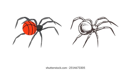 Aranha de estilo plano e esboço, isolado no fundo branco. Desenhando o esboço da aranha negra. Halloween, folclore atributo magia negra. Vetor.	