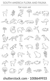 Flat South America flora and fauna  elements. Animals, birds and sea life simple line icon set. Vector illustration