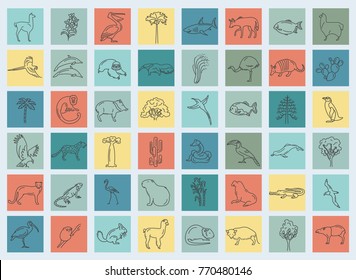 Flat South America flora and fauna  elements. Animals, birds and sea life simple line icon set. Vector illustration