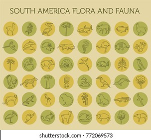 Flat South America flora and fauna  elements. Animals, birds and sea life simple line icon set. Vector illustration