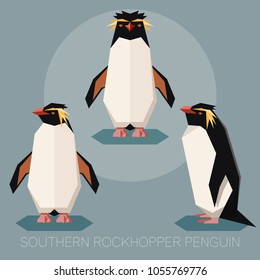 Flat southern rockhopper penguin