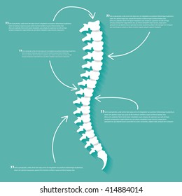 Flat spine icon for orthopedic therapy, diagnostic center.