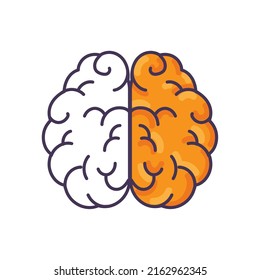 flat split brain design over white
