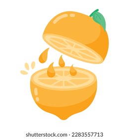 Flat sticker of a half cut citrus fruit 