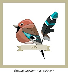 Flat style birds with feather. Jay bird. Cartoon design.  Hand drawn color vector. Modern fashionable illustration. For logo, sticker