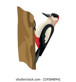 Flat style cartoon woodpecker sitting on a tree. Cute colorful city bird. Isolated element for design. Picture for educational children's book and ornithological encyclopedia. Common European bird.