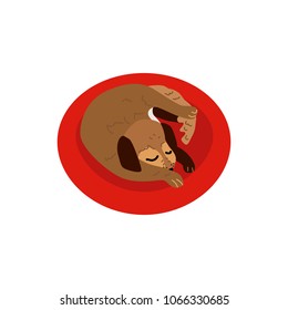 Flat style cute dog animal sleeping curled up side view icon  Funny hand drawn puppy pet  Domestic adorable brown character  design element  Vector illustration isolated 