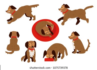 Flat style cute dog animal in different positions   actions set  Sleeping curled up  running  eating from bowl  sitting funny puppy pet character  Vector illustration isolated 