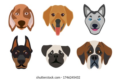 Flat style dog head icons. Cartoon dogs faces set. Vector illustration isolated on white