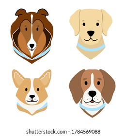 Flat style dogs collection, Adorable corgi icon, Happy beagle illustration, Fluffy collie art,  Cute labrador mascot, Dog breeds isolated on white background, Fluffy animals kids design