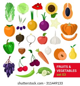 Flat style fancy quality set of fruit and vegetable set. Cabbage salad sunflower nut olive poppy persimmon carrot pear onion carom apple grape cherry cucumber chestnut turnip. Creative food collection