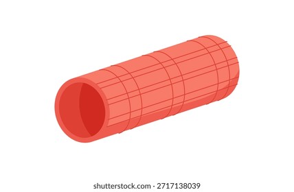 Flat style foam roller sticker tool. Massage accessory for gym, workout, and exercise. Fitness equipment to relax muscle, improve wellness, and strengthen body. Minimal colorful design for sport,