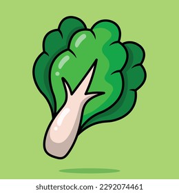 Flat style green leaf lettuce vegetable cartoon vector icon illustration food
