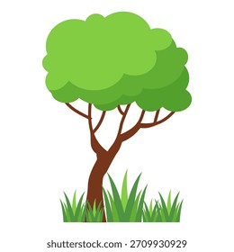 Flat style green leafy tree illustration, simple tree design. Vector nature tree theme. Cartoon tree.