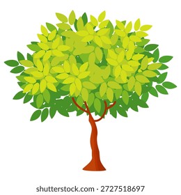 Flat style green leafy tree illustration, simple tree design. Vector nature tree theme. Cartoon tree.
