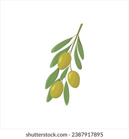 Flat style green olives. Twig with olives with leaves. The concept of vegetables and healthy eating. A branch of olives isolated on a white background.