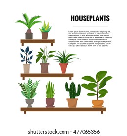 Flat style house plants and flowers in pots vector icons. Cactus, palm, aloe vera, ficus.