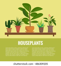 Flat style house plants and flowers in pots vector icons. Cactus, palm, aloe vera, ficus.