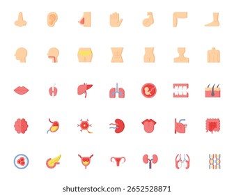 Ícones de anatomia humana de estilo plano, incluindo partes do corpo e órgãos internos. Útil para infográficos médicos, material educacional, aplicativos de saúde e ilustrações biológicas.