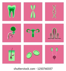  flat style human organs cell