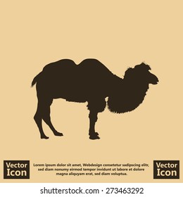 Flat style icon with camel silhouette symbol