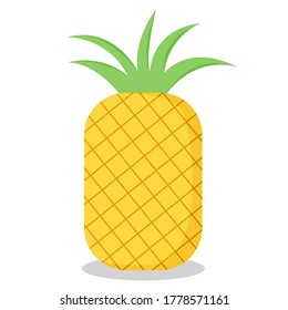 Flat style icon of pineapple on white background. Fruit vector design illustration.