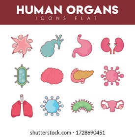 Flat style icon set design of human organs virus and medical care theme Vector illustration