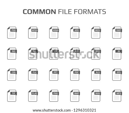 Flat style icon set. System,common file type, extencion. Document format. Pictogram. Web and multimedia. Computer technology. Vector