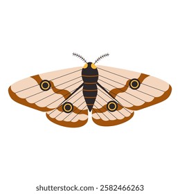 Flat style illustration of a brown and beige moth with intricate wing patterns and eye-like markings, ideal for nature-inspired projects, decorative designs, and artistic compositions.