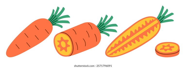 Flat style illustration of carrots showing whole, halved, and cross-section views, ideal for healthy eating, cooking projects, and vegetable-inspired designs.