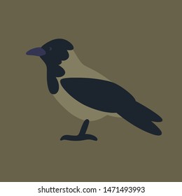Flat style illustration of crow bird. Vector drawing of wintering bird