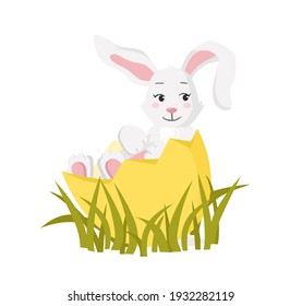 Flat style illustration. Easter rabbit sitting in the egg. Grass is in the background. You can use it for greeting cards or another Easter decorations.