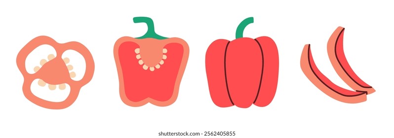 Flat style illustration of a red bell pepper: whole, halved, sliced into rings, and strips. Minimalist design perfect for culinary, educational, or healthy lifestyle projects.