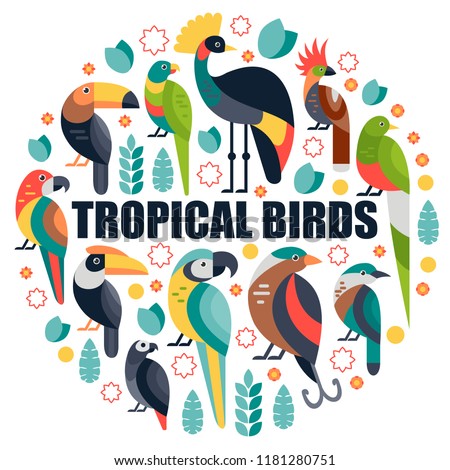 Flat style illustration with Toucan, Blue and Yellow Macaw, Bird of Paradise and other types of birds. Vector set of Tropical birds with flowers and leaves.