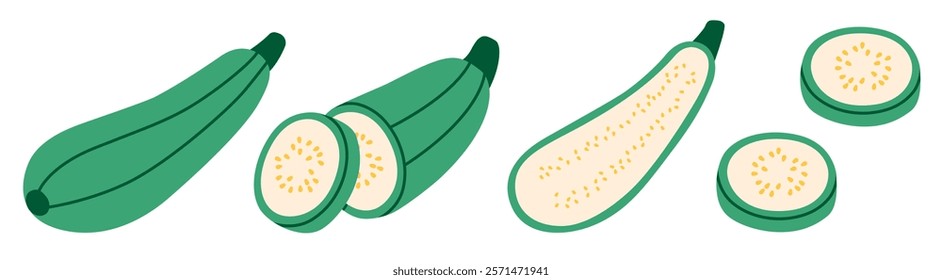 Flat style illustration of zucchini showing whole, halved, and sliced views, ideal for healthy eating, cooking projects, and vegetable-inspired designs.