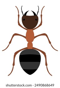 flat style insects wildlife animals vector illustration isolated on white background