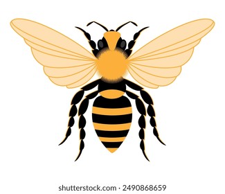 flat style insects wildlife animals vector illustration isolated on white background