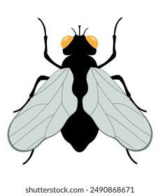 flat style insects wildlife animals vector illustration isolated on white background