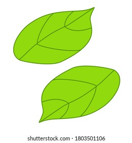 flat style leaf illustration. ecological theme