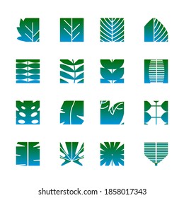 El estilo plano deja fragmentos establecidos en el vector. Diferentes tipos de bosque y plantas tropicales para el diseño de logotipo, etiqueta o marca.

