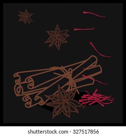 Flat Style Line Illustration of Spices, Cinnamon, Anise, Saffron