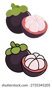 Flat style mangosteen tropical fruit illustration